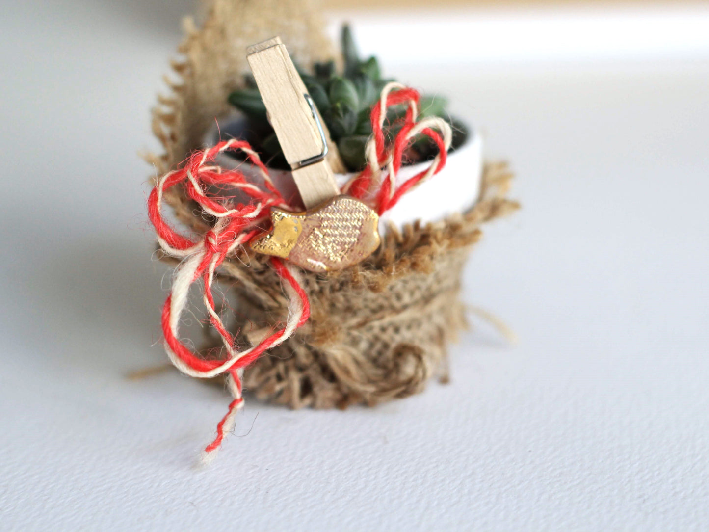 Set de Martisor cu planta suculenta si martisor din ceramica brosa