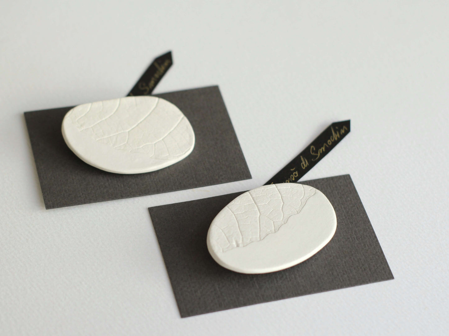 brosa alba design botanic