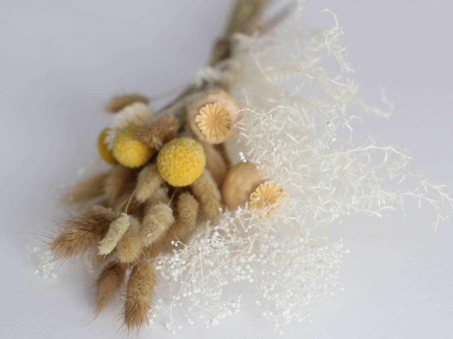 buchet plante uscate