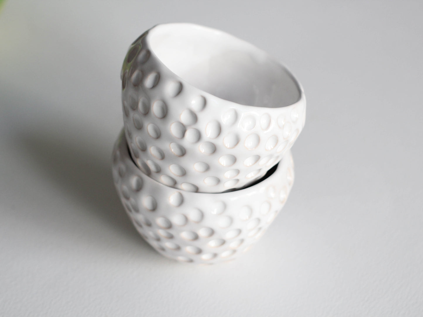 cani albe Victoria Finala