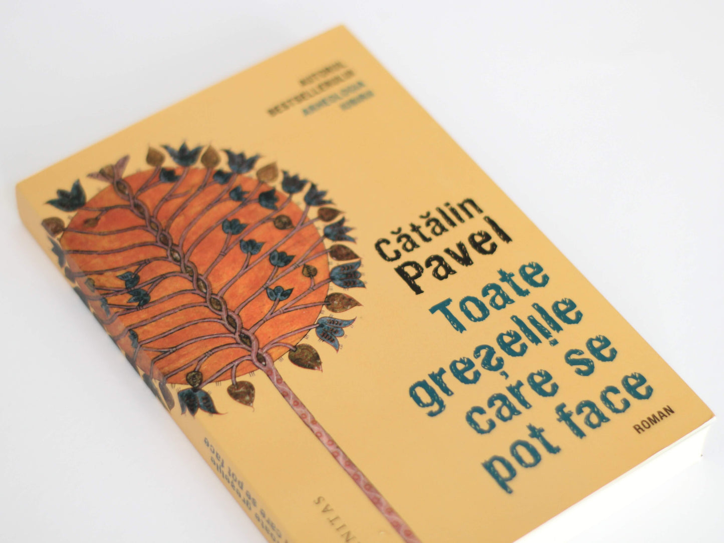 carte literatura toate greselile care se pot face autor catalin pavel editura humanitas