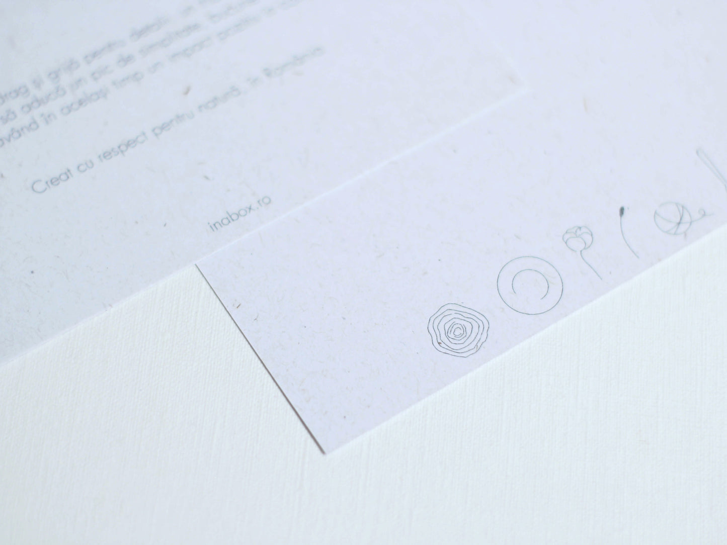 Cititor scriitor