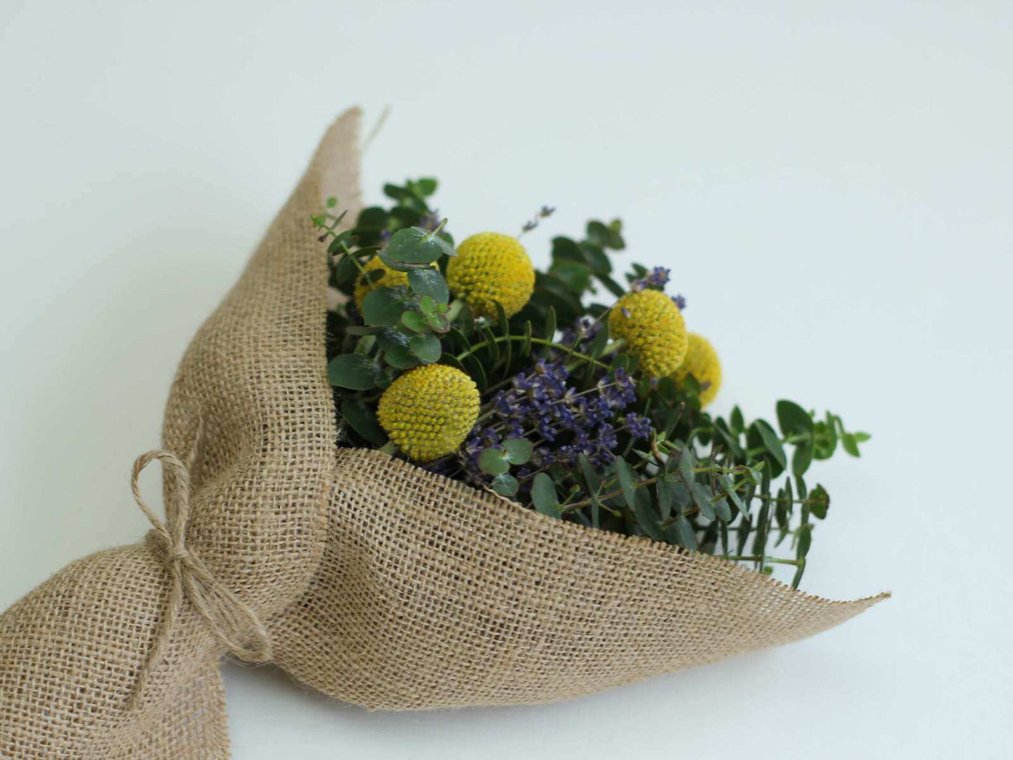 Buchet cu eucalipt, lavandă și craspedia