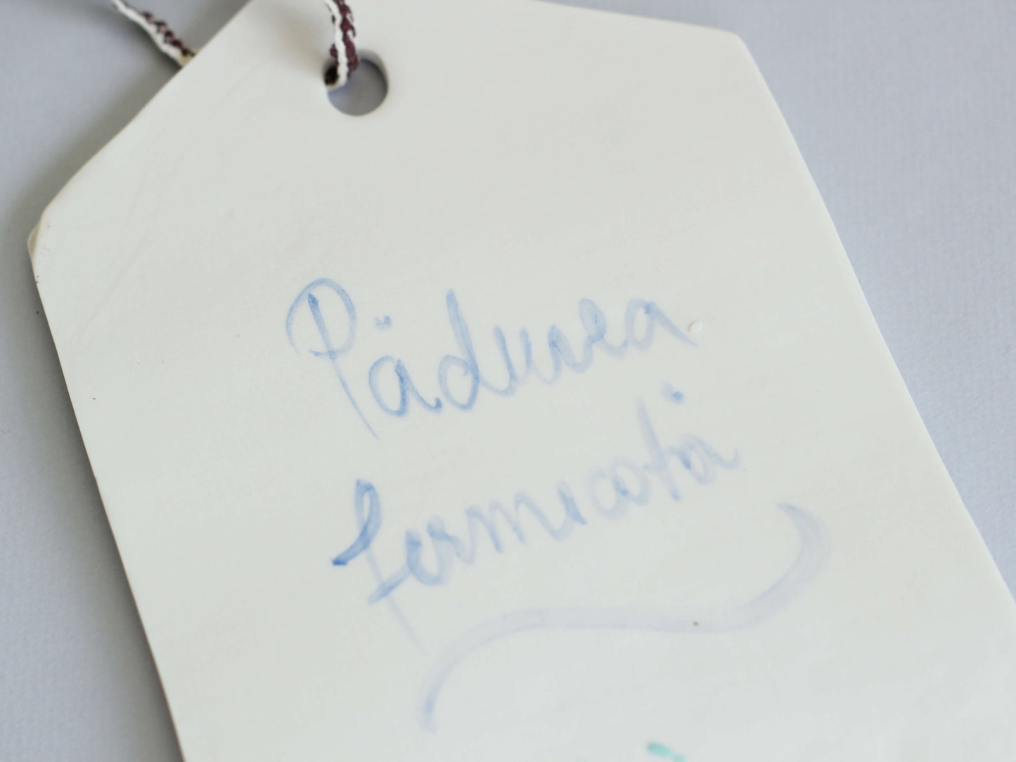 decoratiune din ceramica de perete pictata manual