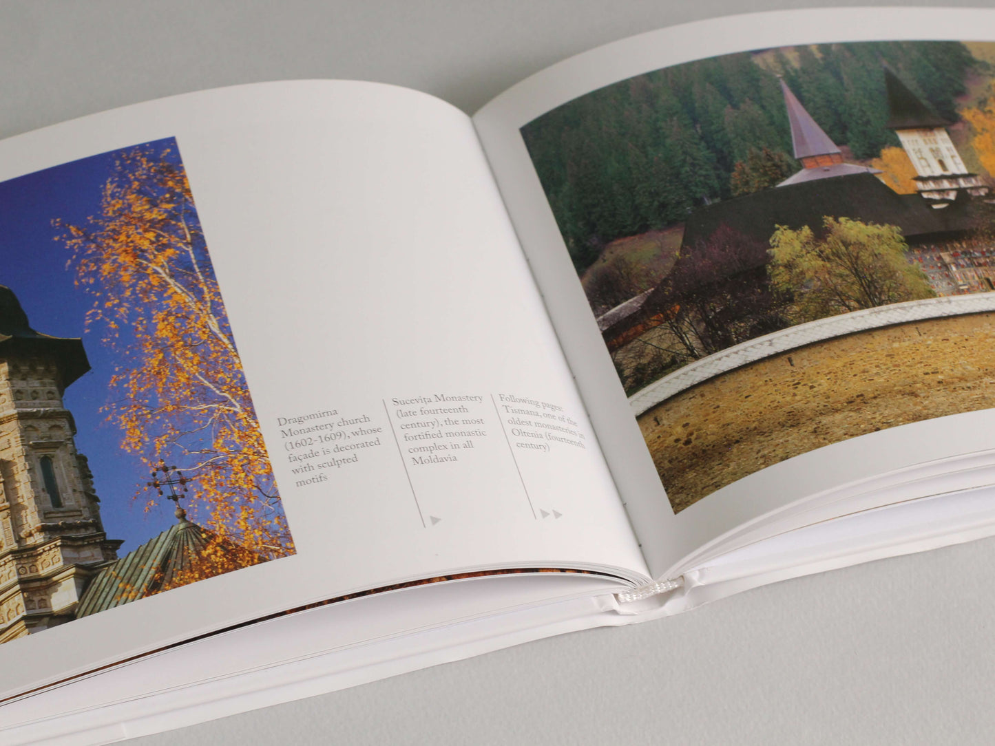 Album foto Made in Romania - Florin Andreescu