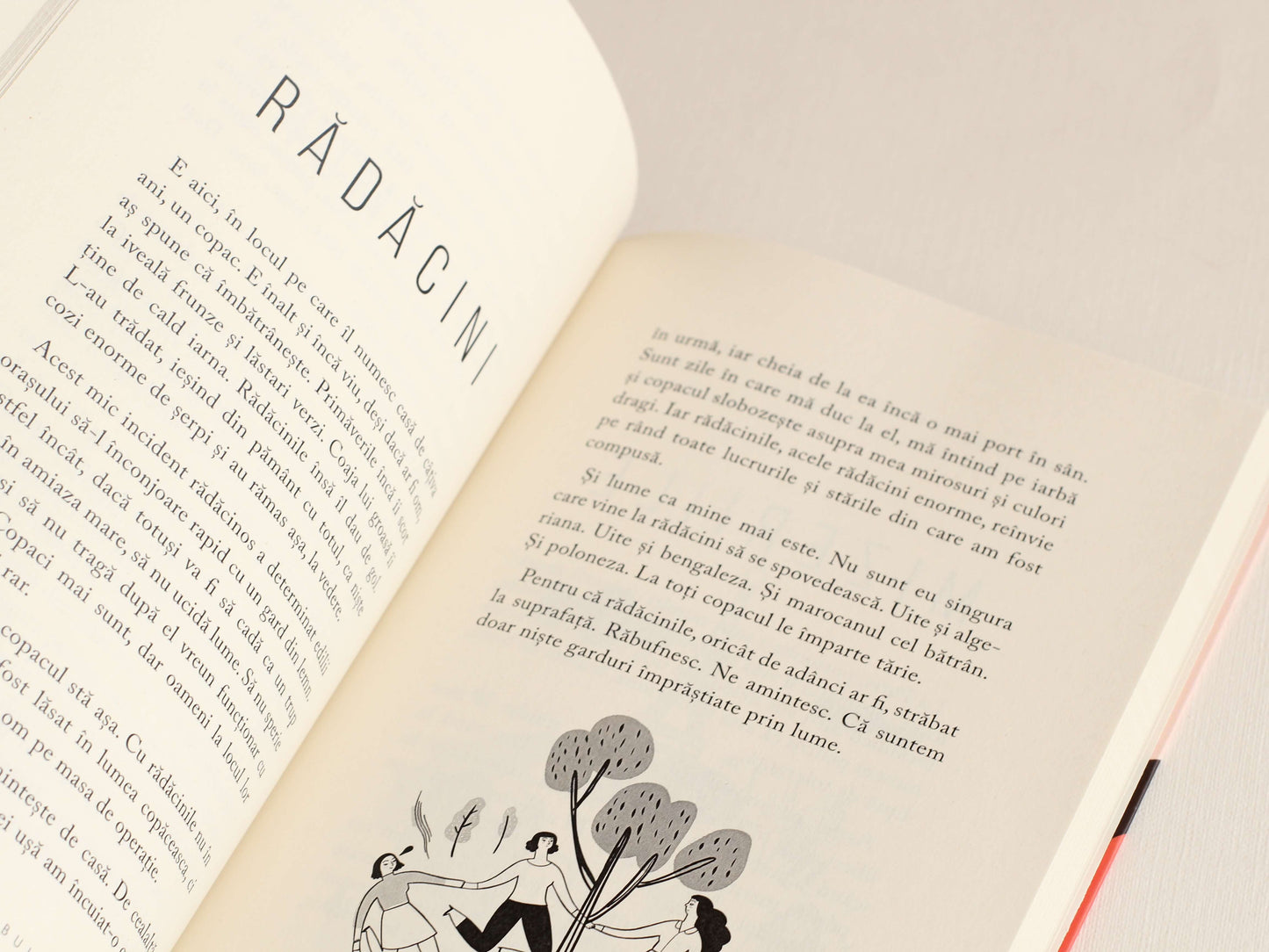 Fabule moderne - Tatiana Țîbuleac