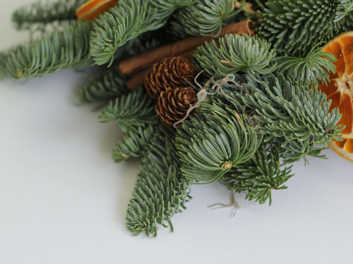 Coronita brad rezistent