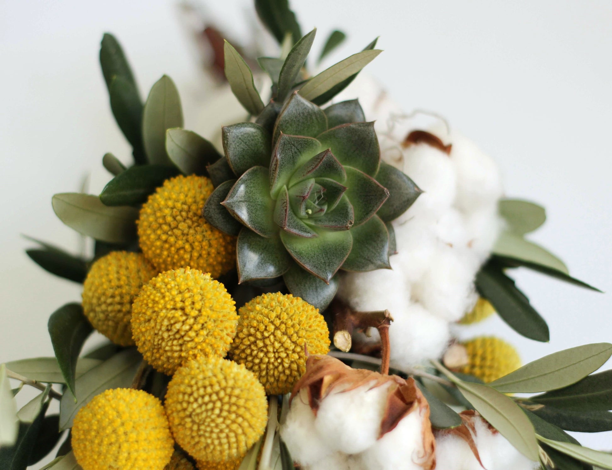 buchet natural rezistent
