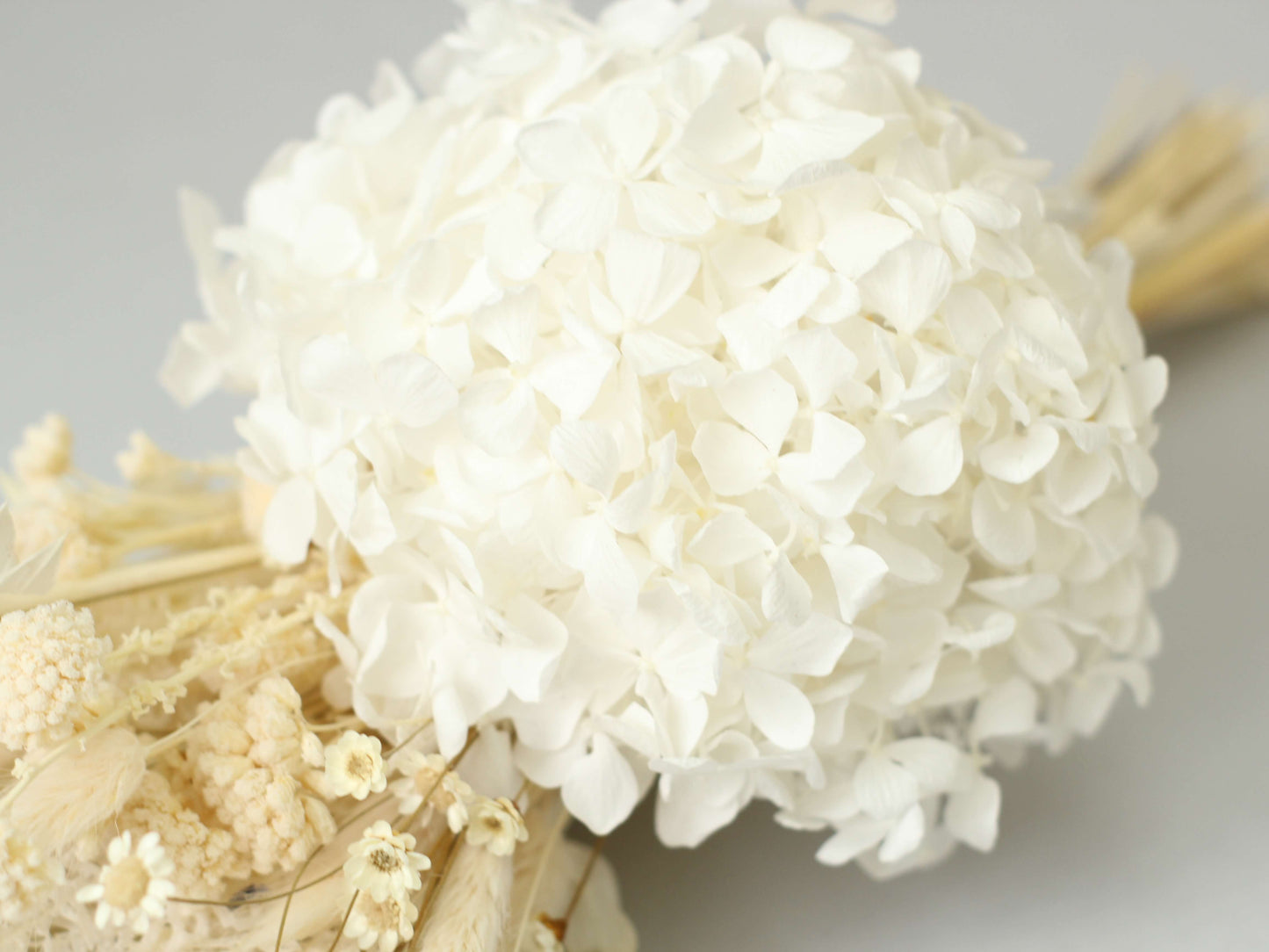 Buchet nude stabilizat cu hortensie albă, lagurus, ruscus și alte flori delicate rezistente,