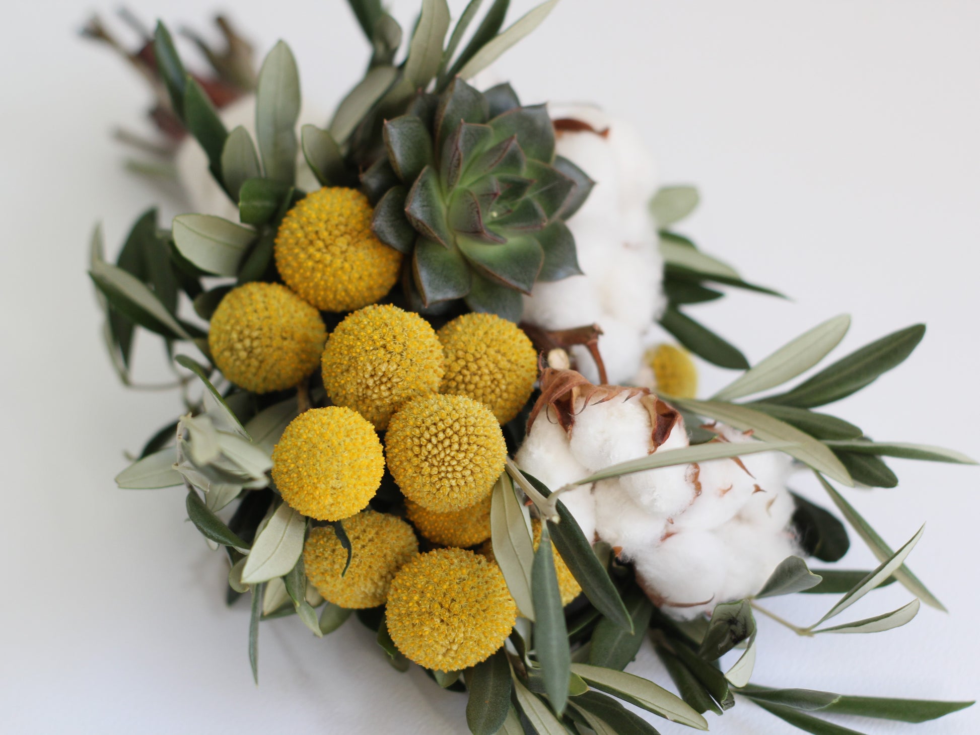 buchet natural cu bumbac, maslin, craspedia si suculenta